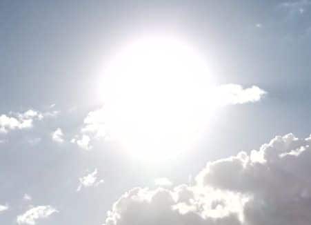 Do Potatoes Need Full sun all the Time?