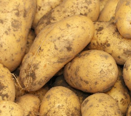 many potatoes