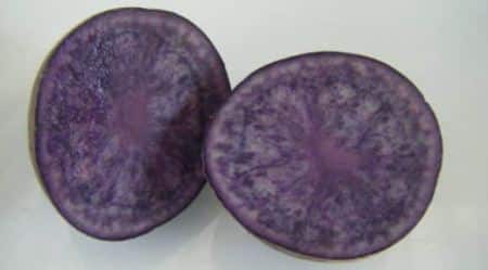 purple potato in halves