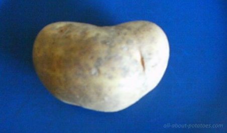 potato with a different shape