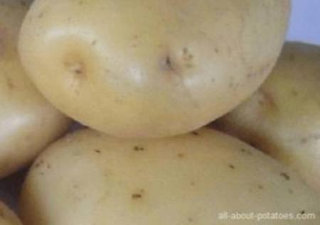 are potatoes bad for you if you have high cholesterol