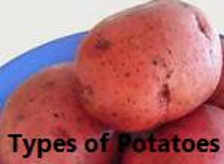 red potatoes1