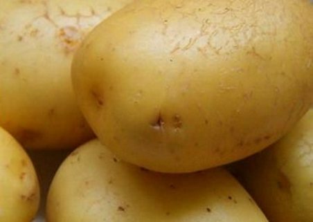 potato of the yellow type